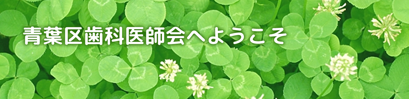 青葉区歯科医師会へようこそ