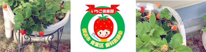 いちご倶楽部