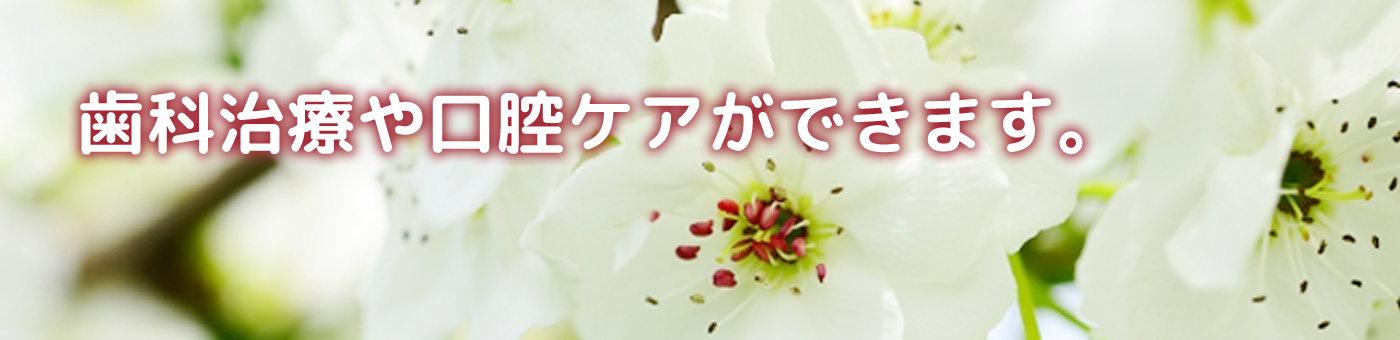 歯科医院と同じような治療ができます。