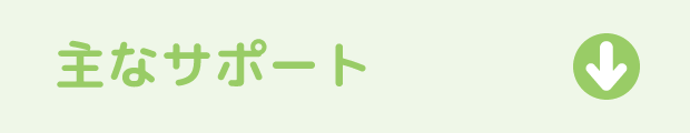 主なサポート
