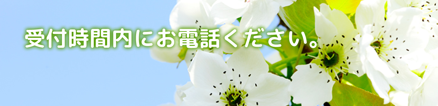 受付時間内にお電話ください。
